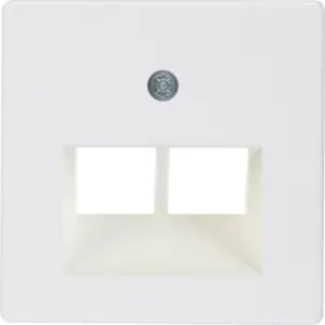 Berker Z-Platte UAE 2fach F /CT pw 146909