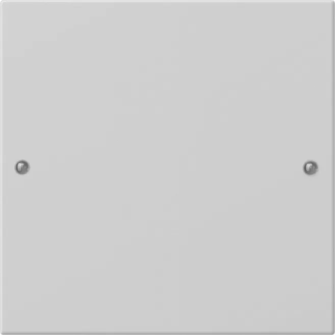 Gira Wippenset 1f System 55 Grau m(lack.) 2181015