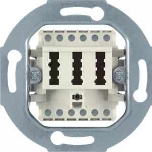 Berker TAE-Anschlussdose 2 X 6/6Nff Modul-Ein 454402