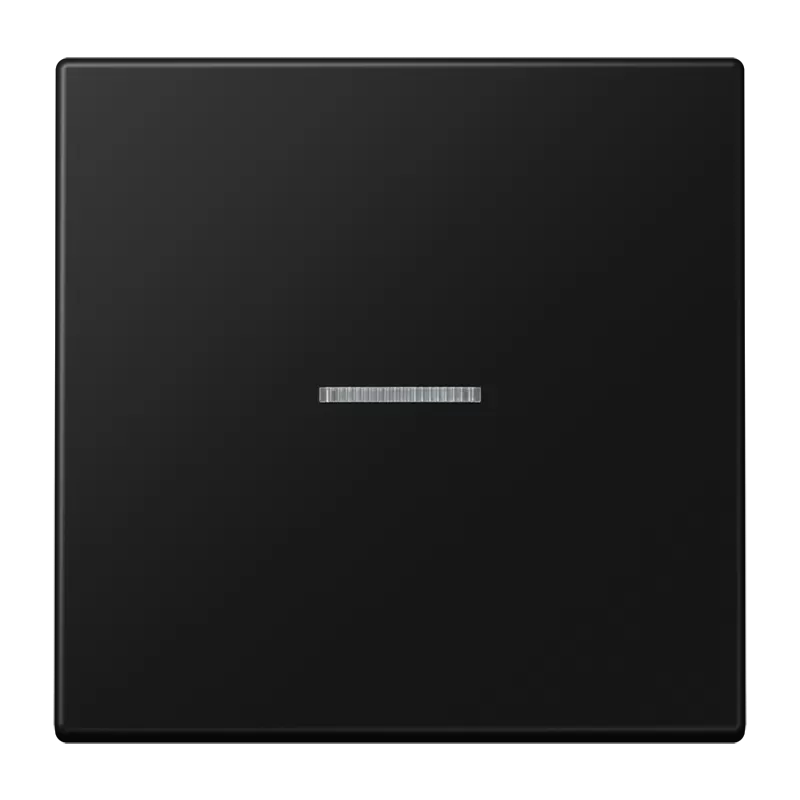 Jung Wippe mit Lichtleiter für KNX Taster 1fach, Duroplast lackiert, Serie LS, graphitschwarz matt LS101KO5SWM