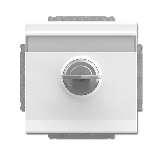Busch-Jaeger 20 EUKNBSL-84 | SCHUKO® Steckdosen-Einsatz mit Klappdeckel und Schloss