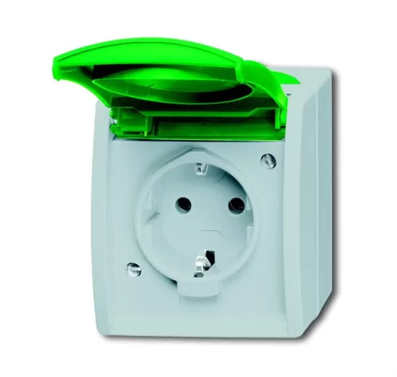 Busch-Jaeger 20 EWN-13-53 | SCHUKO® Steckdose mit grünem Klappdeckel