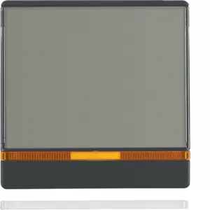 Berker Wippe m 2 Linsen u BSF groß Q.x anthr 16966086