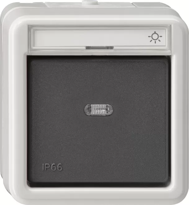 Gira Wipptaster Wechsler BSF WD AP Grau 015631