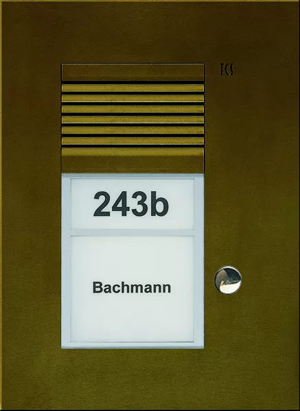 TCS Audio Außenstation Serie PUK 1 Klingeltaste (rechtsbündig), 1-spaltig, UP bronze PUK01/1-EB