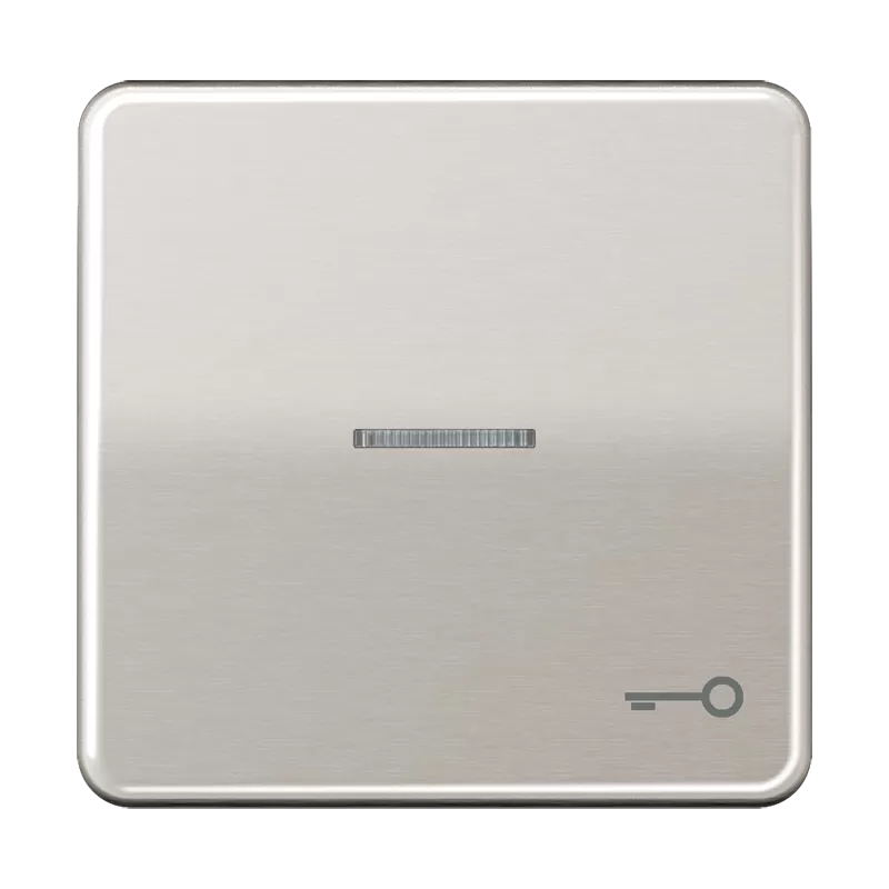 Jung Wippe 1fach mit Lichtleiter, Symbol Tür, Aluminium eloxiert, Serie CD, platin CD590KO5TPT