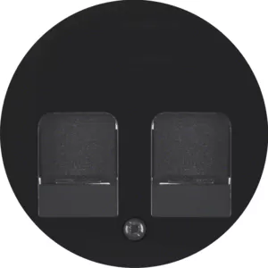 Berker Zentralstück m 2 Staubs R.1/R.3 schwarz 11812045