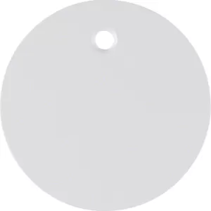 Berker Zentralstück f Zugsch/tast R.1/R.3 pw 11462089