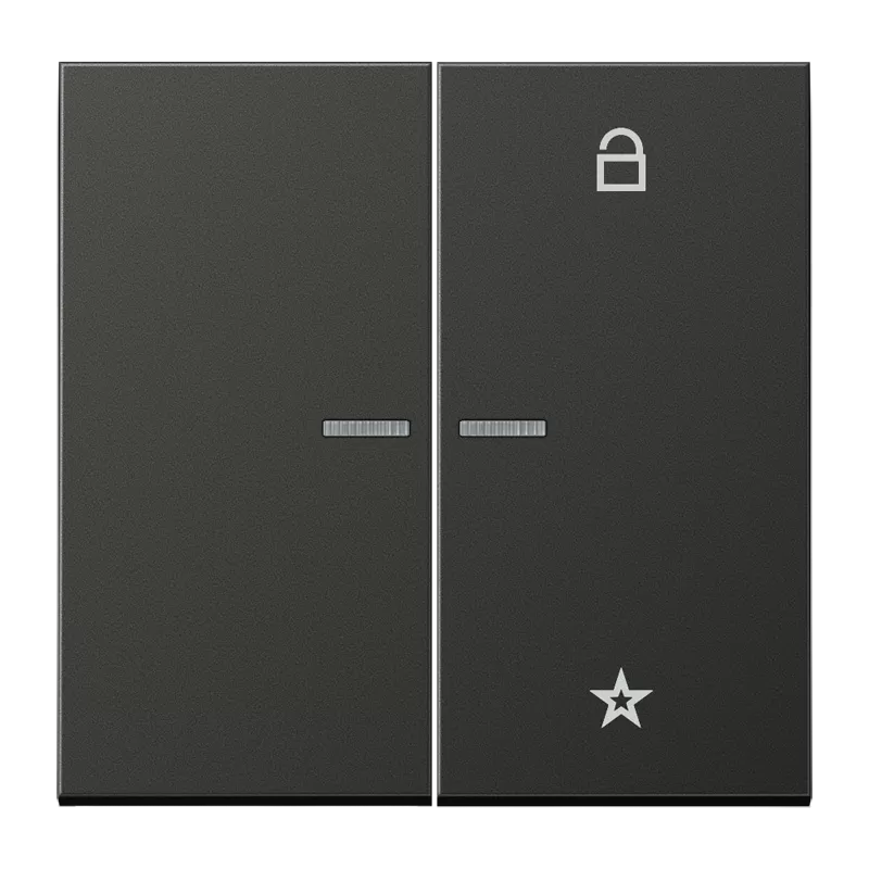 Jung eNet Funk-Steuertaste 2fach, Aluminium lackiert, Serie LS, anthrazit (lackiertes Aluminium) FMAL1701AN