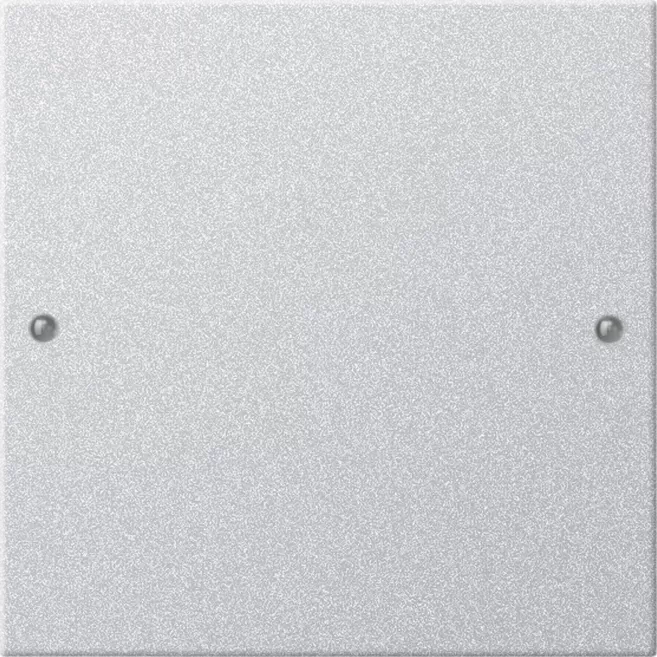 Gira Wippenset 1f System 55 F Alu(lack.) 218126