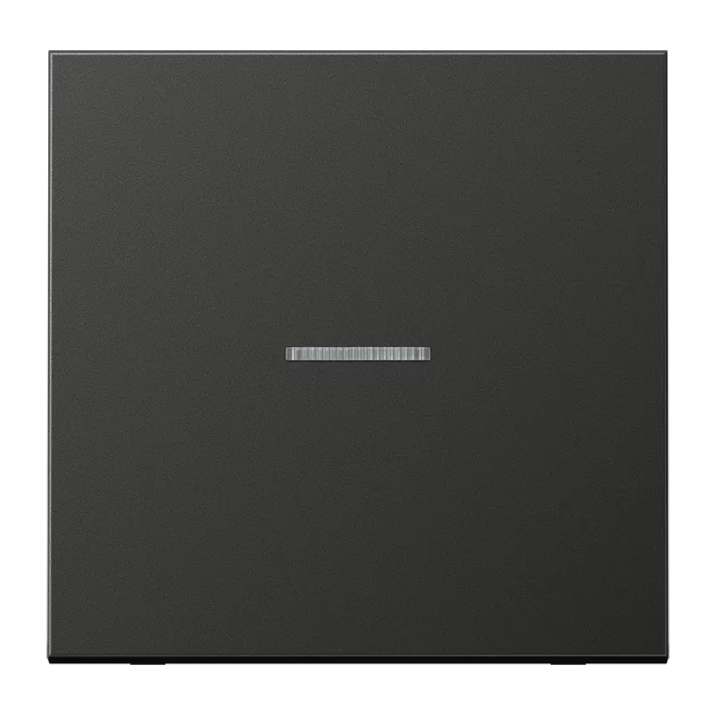 Jung Wippe mit Lichtleiter für KNX Taster 1fach, Aluminium lackiert, Serie LS, anthrazit (lackiertes Aluminium) AL101KO5AN