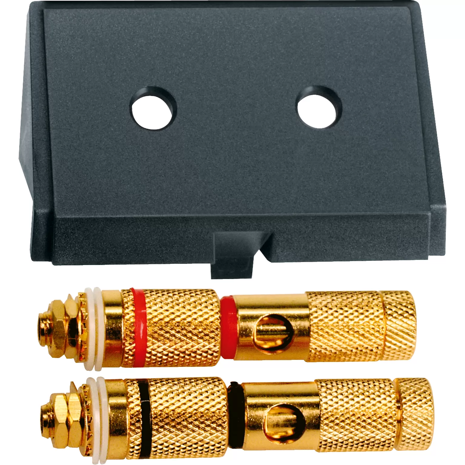 Merten Einschub mit High-End Lautsprecher-Steckverbinder, schwarz,System M, System M, System Design, System Fläche 464387