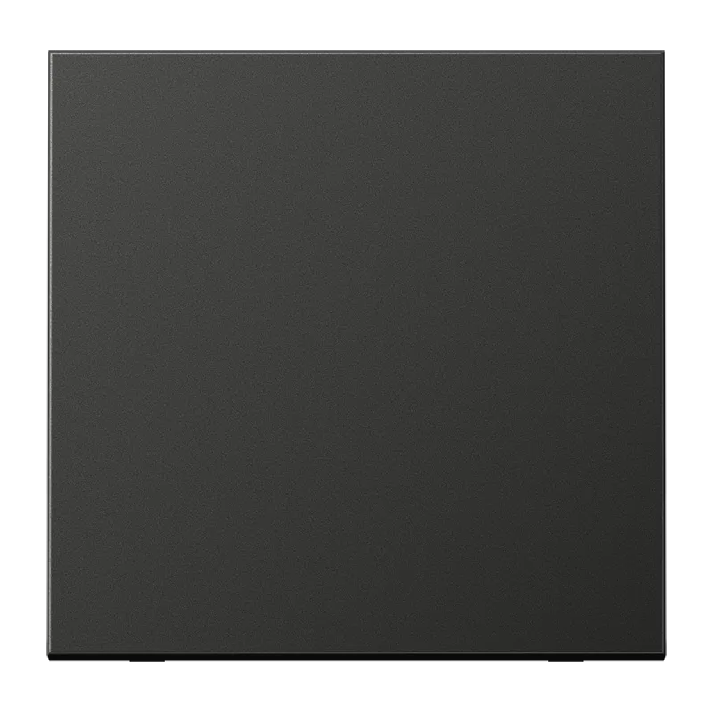 Jung Steuertaste Standard, neutral, Aluminium lackiert, Serie LS, anthrazit (lackiertes Aluminium) AL1700AN