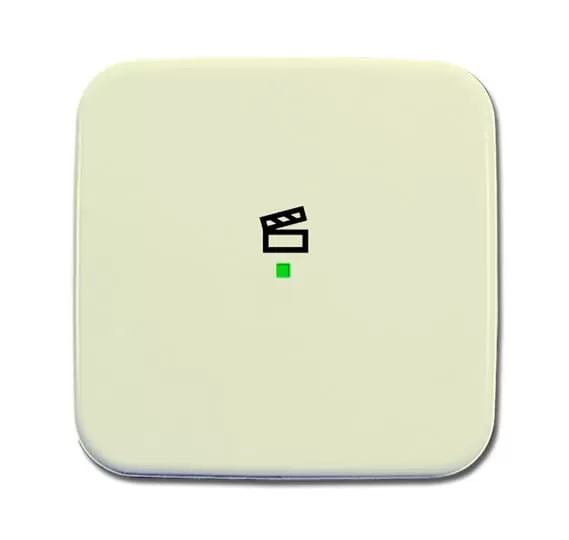 Busch-Jaeger 6233-10-212 | Wippe 1-fach, mit Symbol Szene