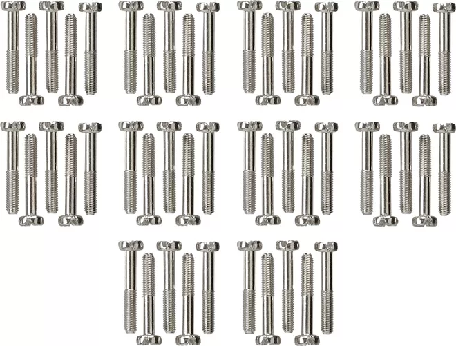 Gira Set Zylinderschrauben 50 Stck. WG AP 818000