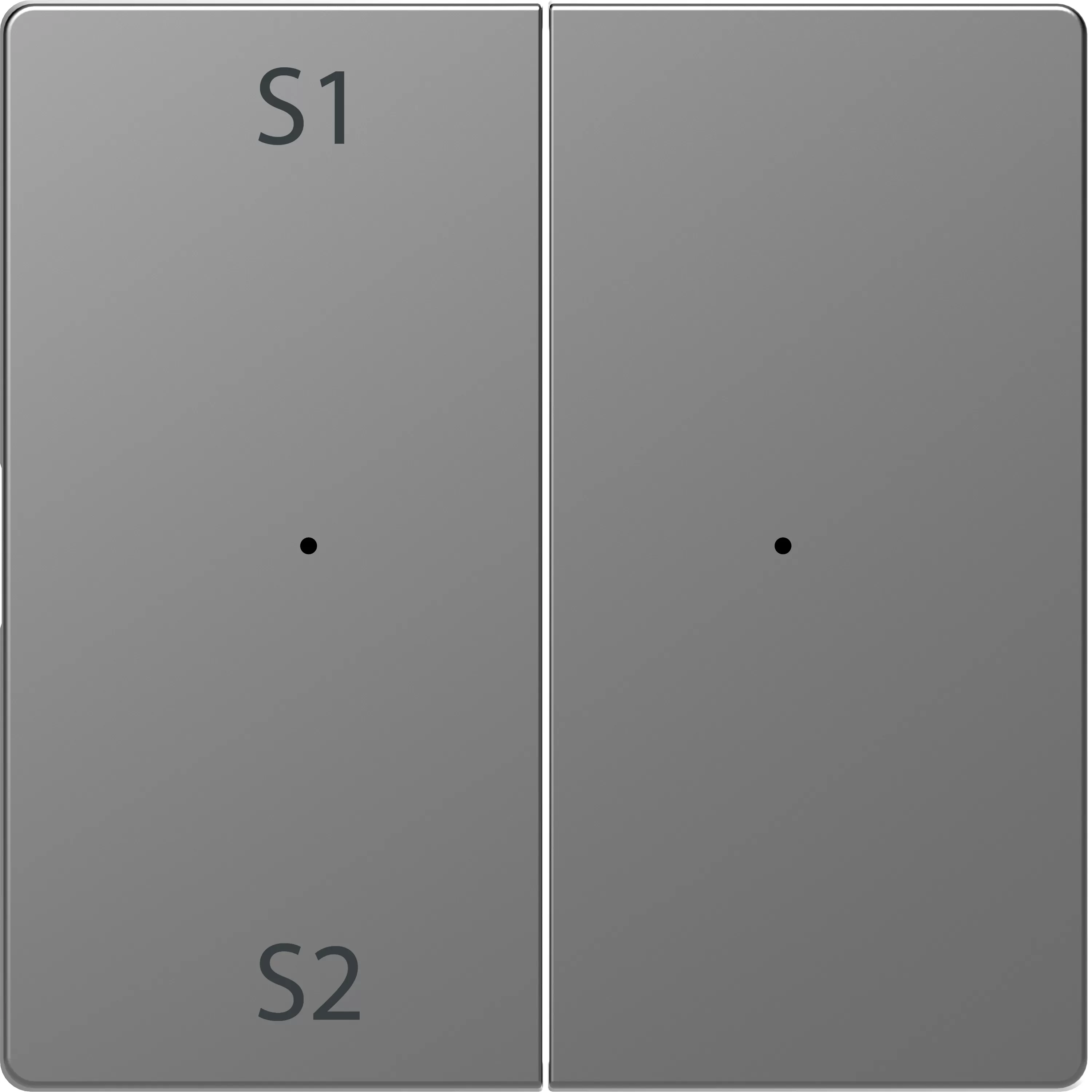 Merten Wippen für Taster-Modul 2fach (Szene1/2, blank), Edelstahl, System Design MEG5226-6036