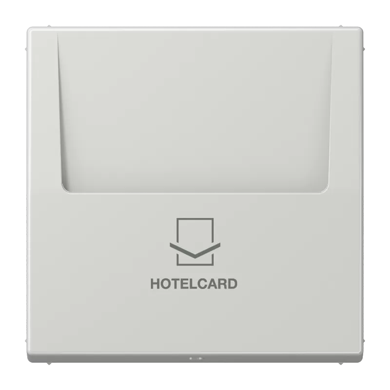 Jung Hotelcard-Schalter (ohne Taster-Einsatz), Hotelcard, Serie LS, lichtgrau LS590CARDLG