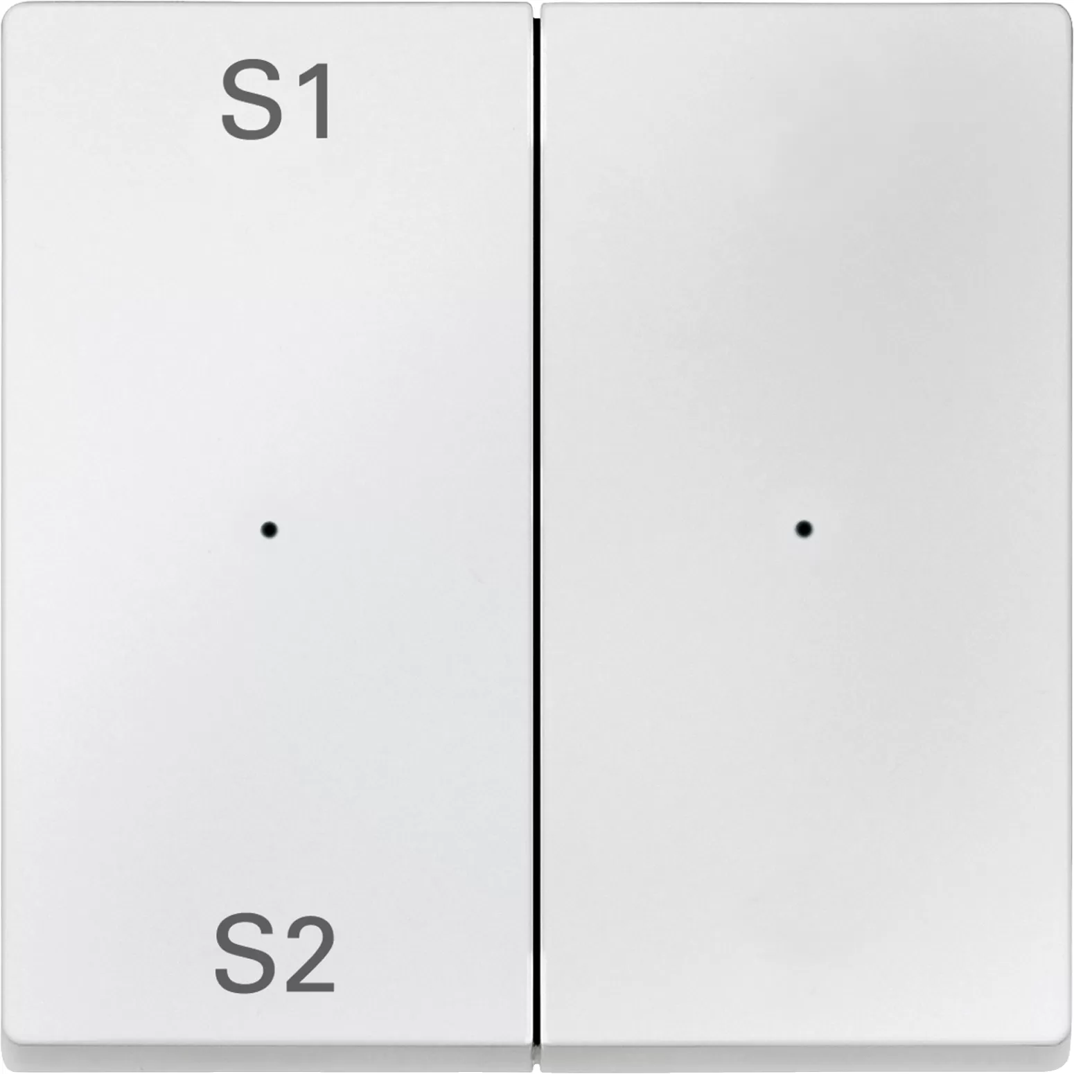 Merten Wippen für Taster-Modul 2fach (Szene1/2, blank), polarweiß, System M MEG5226-0419