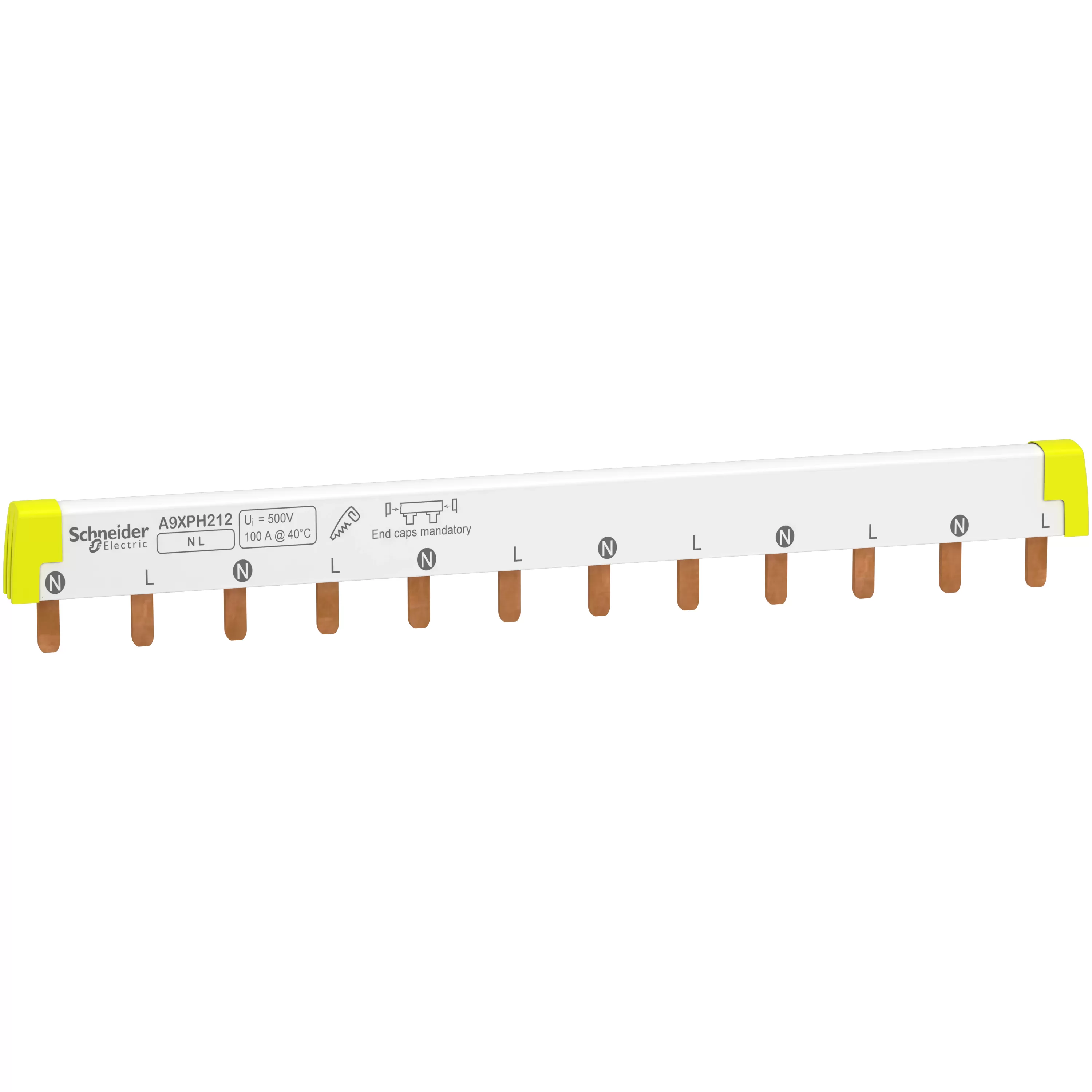 Schneider Electric Phasenschiene Steg, ablängbar, 2P, 12 TE, 100A A9XPH212