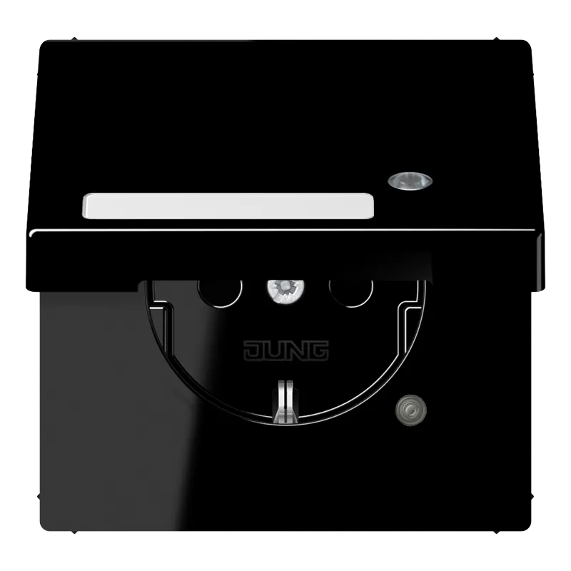 Jung SCHUKO Steckdose, 16 A 250 V ~, ohne Krallen, mit Funktionsanzeige, mit Schriftfeld, integrierter erhöhter Berührungsschutz, Klappdeckel, Thermoplast, LS1520NAKLKOSW