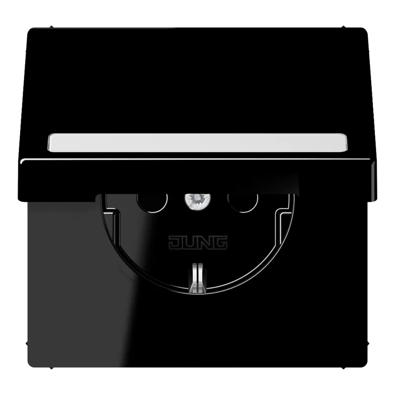 Jung SCHUKO Steckdose, 16 A 250 V ~, mit Schriftfeld, integrierter erhöhter Berührungsschutz, Klappdeckel, Thermoplast, Serie LS, schwarz LS1520BFNAKLSW