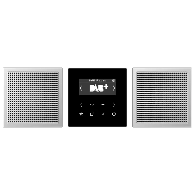 Jung Smart Radio DAB+, Set Stereo, Serie LS, Aluminium DABAL2