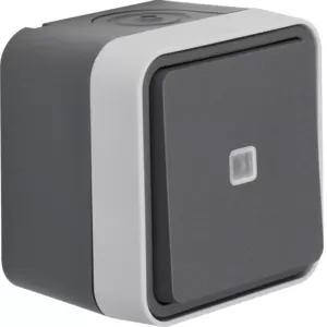 Berker Kontroll-Wechselschalter AP W.1 grau 31763505
