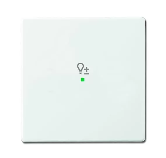 Busch-Jaeger 6234-10-84 | Wippe 1-fach, mit Symbol Dimmer