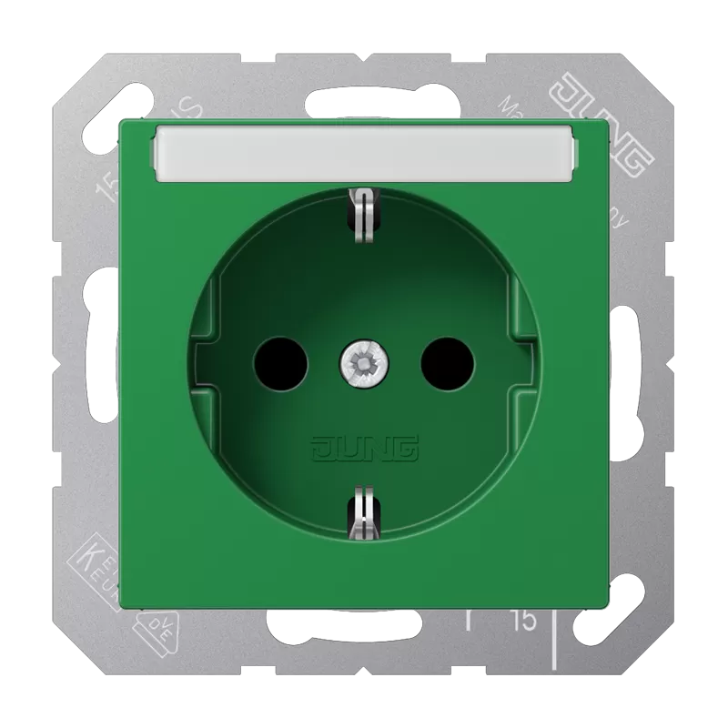 Jung SCHUKO Steckdose, 16 A 250 V ~, mit Schriftfeld, integrierter erhöhter Berührungsschutz, Thermoplast, Serie AS/A, grün (für SV) A1520BFKINAGN