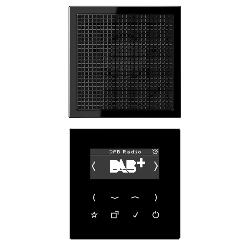 Jung Smart Radio DAB+, Set Mono, Serie LS, schwarz DABLS1SW