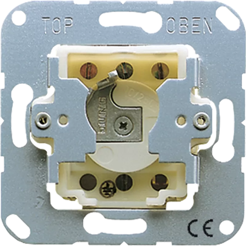 Jung Schlüsselschalter mit Demontageschutz, Taster (Wechsler), 1-pol., A 250 V ~ CD133.18WU