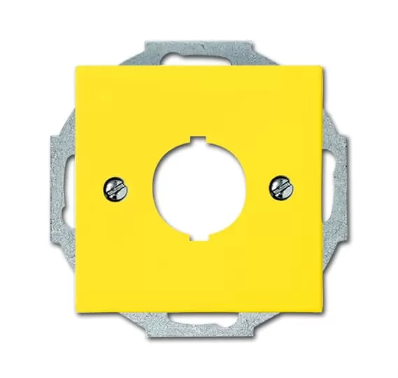 Busch-Jaeger 2533-914-15 | Zentralscheibe mit Tragring