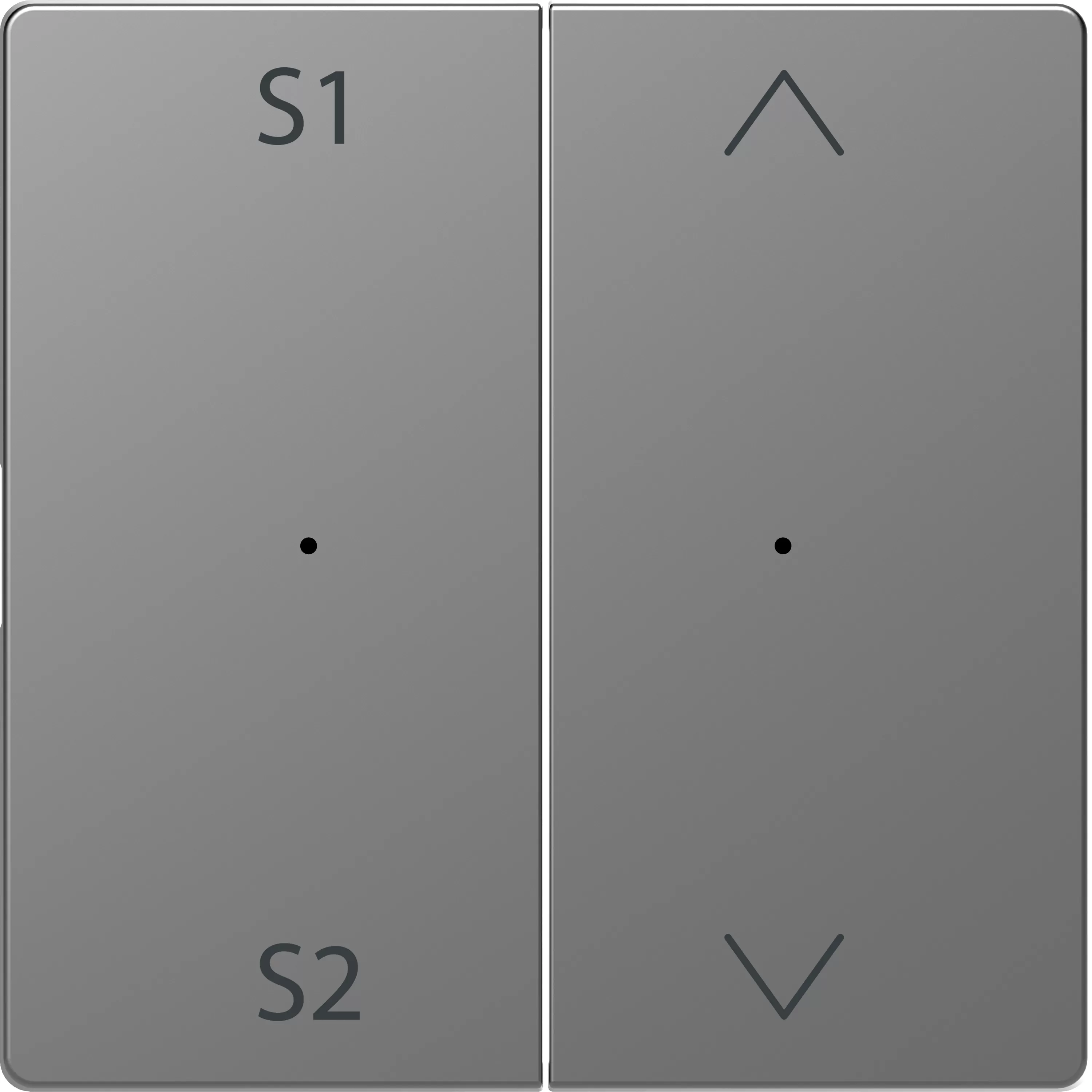 Merten Wippen für Taster-Modul 2fach (Szene1/2, Auf/Ab), Edelstahl, System Design MEG5227-6036