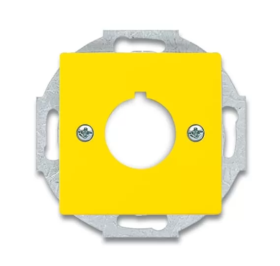 Busch-Jaeger 2533-82-15 | Zentralscheibe mit Tragring