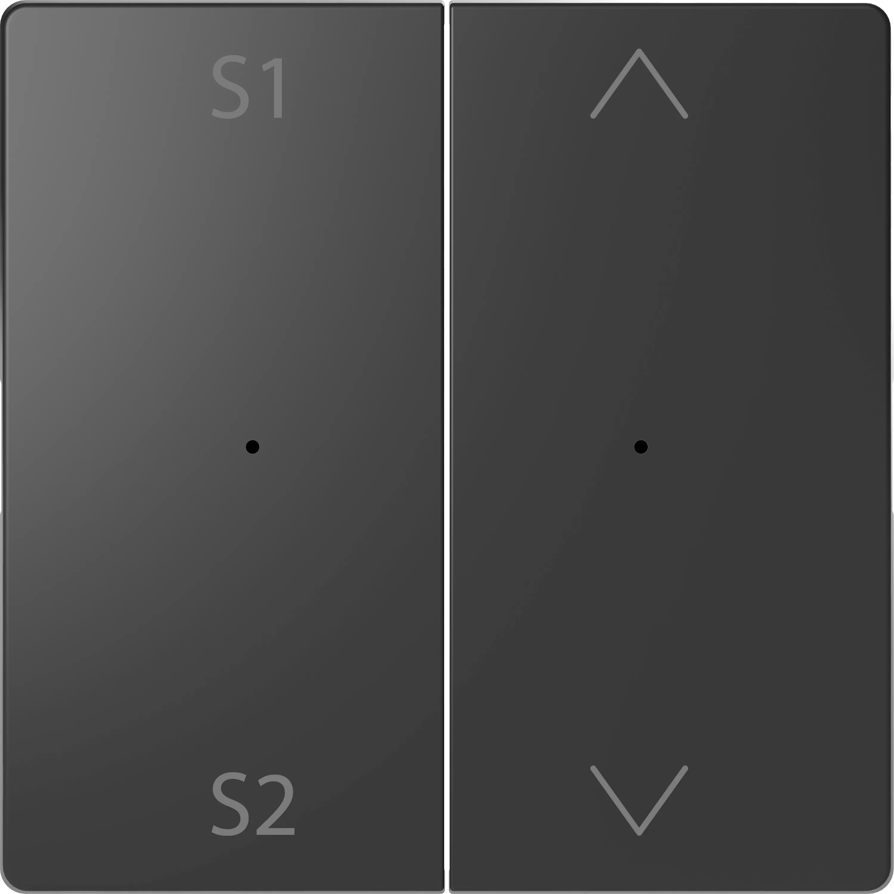 Merten Wippen für Taster-Modul 2fach (Szene1/2, Auf/Ab), Anthrazit, System Design MEG5227-6034