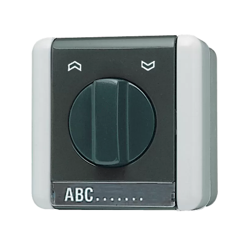 Jung Jalousie-Drehschalter, 2-pol. (2 Antriebe), 10 AX 250 V ~, mit Schriftfeld, IP 44, WG 800 834.20W