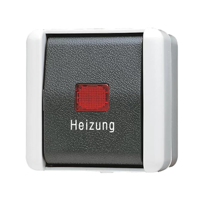 Jung Heizungsschalter, Universal Aus-Wechsel, 10 AX 250 V ~, IP 44, WG 800 806HW