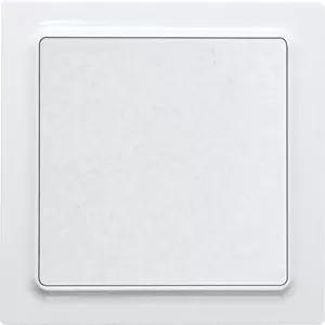 Eltako Wippschalter E-Design55, reinweiß glänzend 30055707