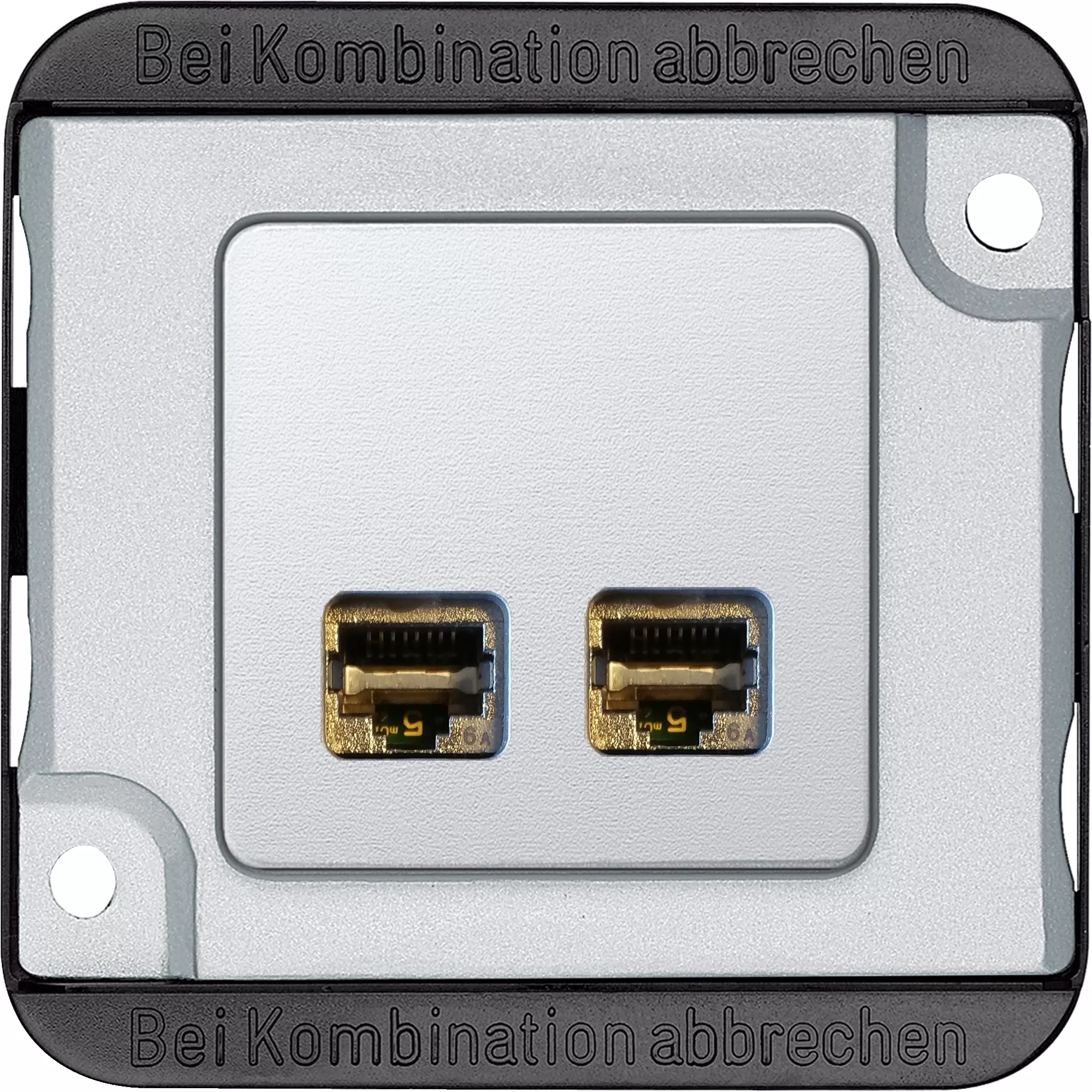 Merten Panzer Actassi Anschlussmodul RJ45, 2fach, mit Zentralplatte MEG4576-7022