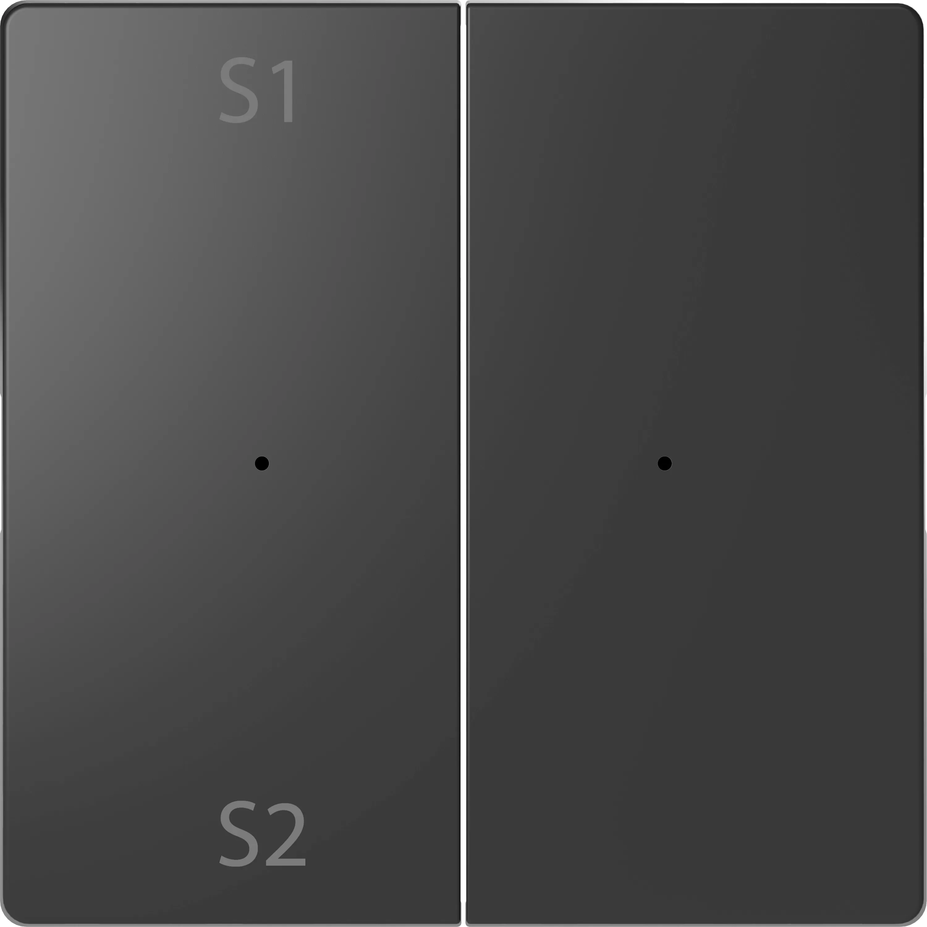 Merten Wippen für Taster-Modul 2fach (Szene1/2, blank), Anthrazit, System Design MEG5226-6034