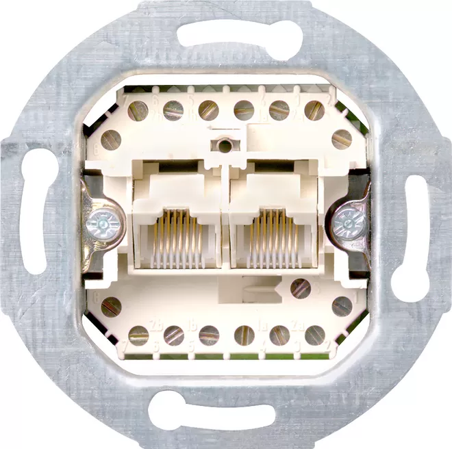 Gira UAE/IAE-Anschlussdose 2 x 8-p 8/8 SRK Einsatz 019000