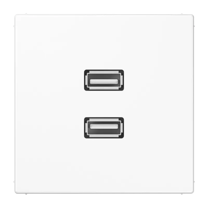 Jung Multimedia-Anschlusssystem 2 x USB 2.0, Serie LS, alpinweiß MALS1153WW
