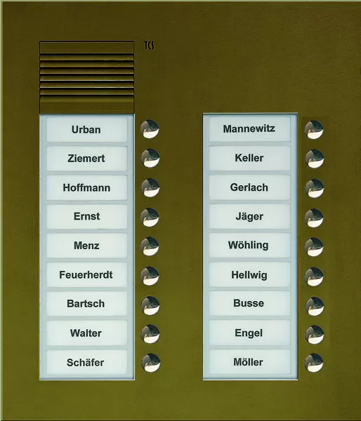 TCS Audio Außenstation Serie PUK 18 Klingeltasten (rechtsbündig), 2-spaltig, UP bronze PUK18/2-EB