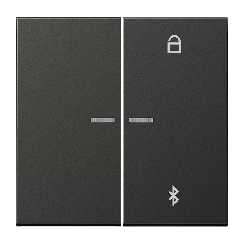 Jung LB-ManagementTimer Universal Bluetooth, Aluminium lackiert, Serie LS, anthrazit (lackiertes Aluminium) AL1751BTAN