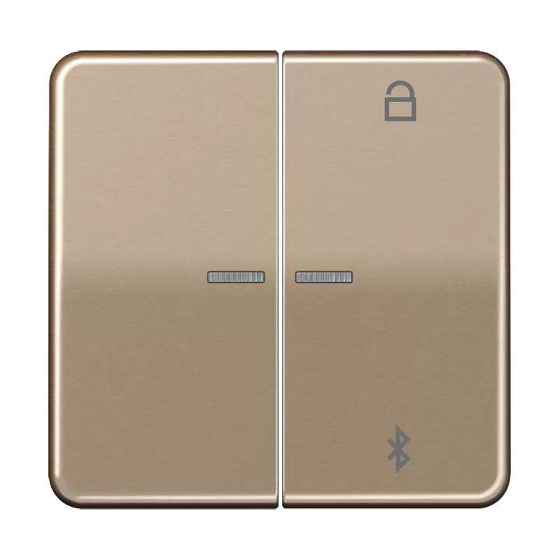 Jung LB-ManagementTimer Universal Bluetooth, Duroplast lackiert, Serie CD, gold-bronze CD1751BTGB