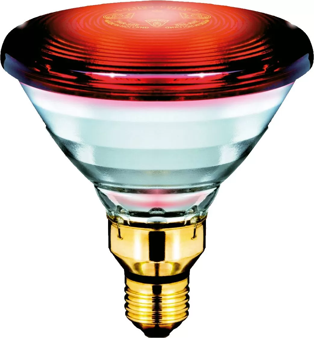 Signify InfraRed Healthcare Heat Incandescent - IR lamp 12887415