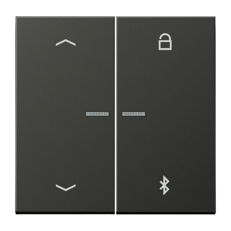 Jung LB-ManagementTimer Universal Bluetooth Pfeile, Aluminium lackiert, Serie LS, anthrazit (lackiertes Aluminium) AL1751PBTAN